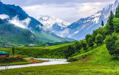 Glimpse Of Bhutan 1