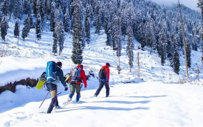 Wonders Of Bhutan 2