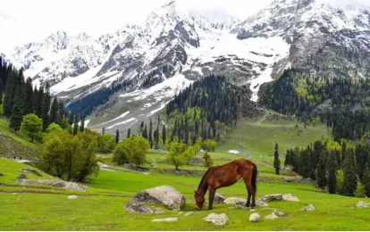 Glimpse Of Bhutan 2