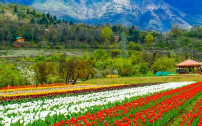 Wonders Of Bhutan 2